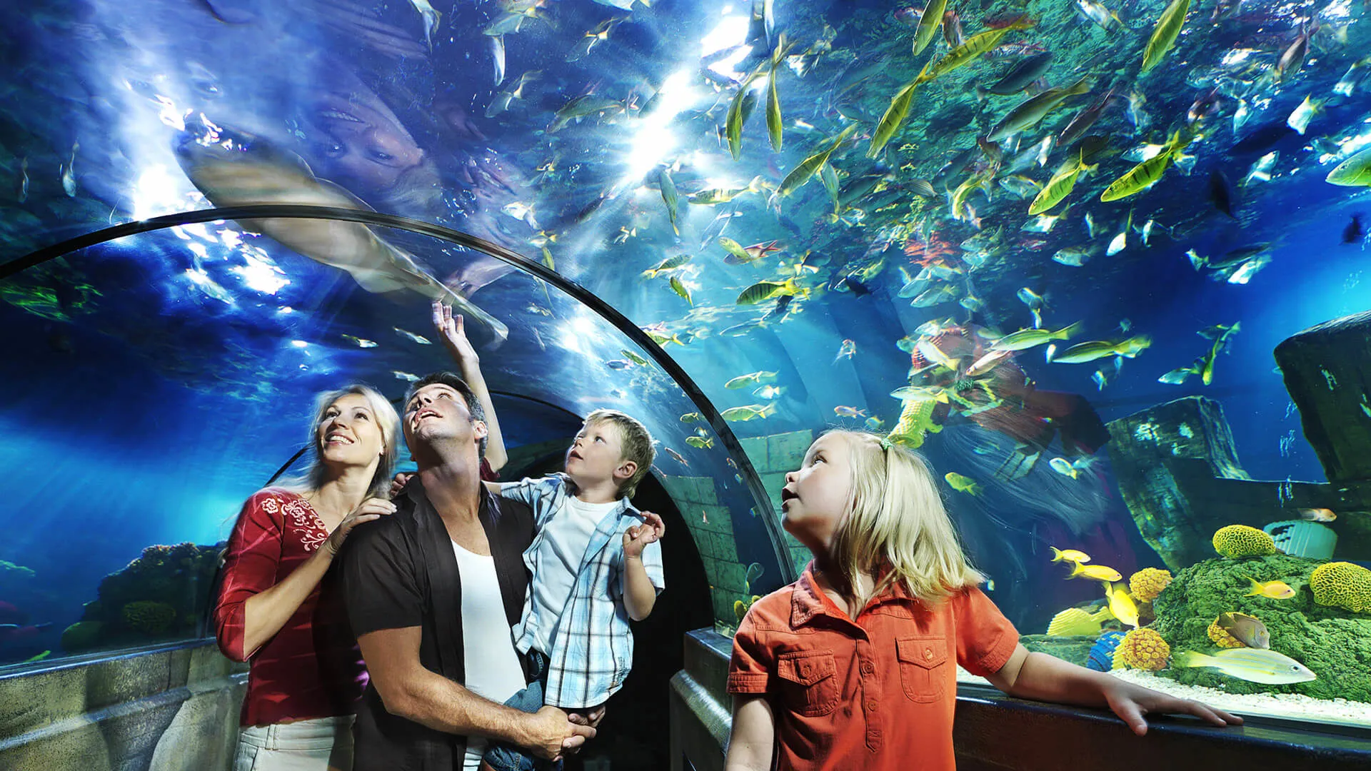 LEGOLAND ATLANTIS by Sea Life Underwater World