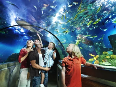 LEGOLAND LEGO X-treme atlantis family in the glass tunnel