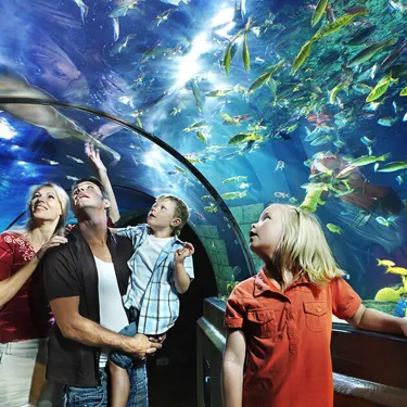 LEGOLAND germany aquarium